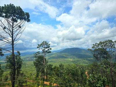 Mirador del Bosque -,, Manzanilla De La Paz, Jalisco 49460, Mexico