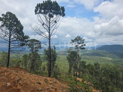 Mirador del Bosque -,, Manzanilla De La Paz, Jalisco 49460, Mexico