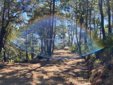 Mirador del Bosque -,, Manzanilla De La Paz, Jalisco 49460, Mexico