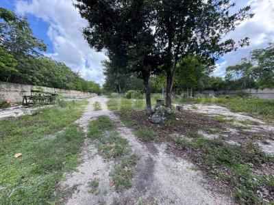 Cancún/Benito Juárez, Quintana Roo 77560, Mexico