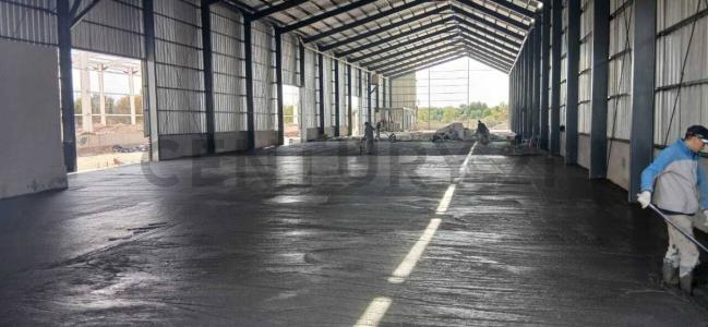 Maipú, Mendoza 5517, Argentine