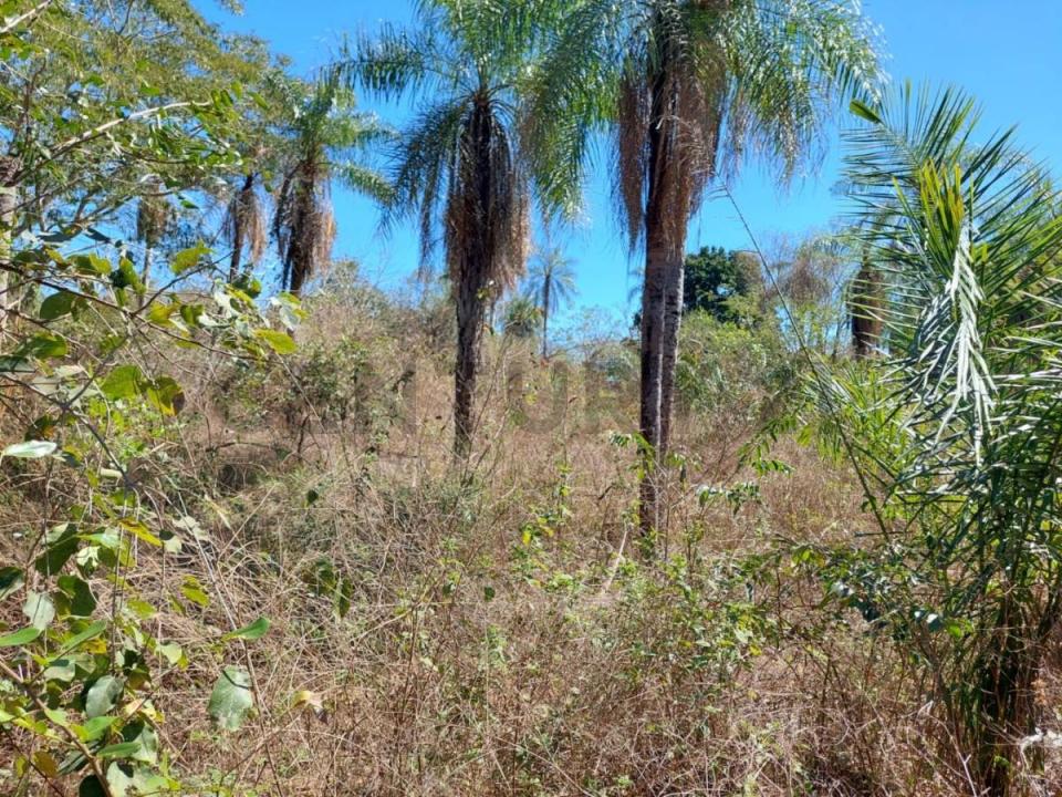 25 DE OCTUBRE- ROBORE , Este, Santa Cruz 00001, بوليفيا