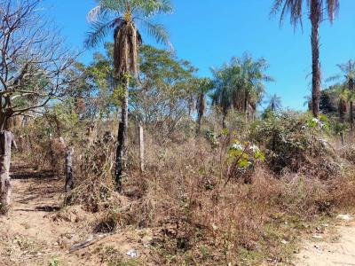 25 DE OCTUBRE- ROBORE , Este, Santa Cruz 00001, بوليفيا