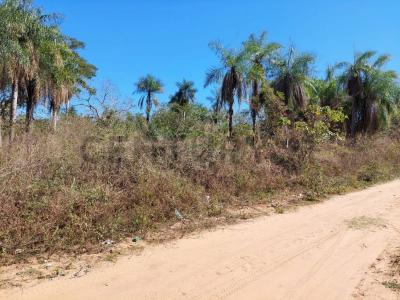 25 DE OCTUBRE- ROBORE , Este, Santa Cruz 00001, بوليفيا