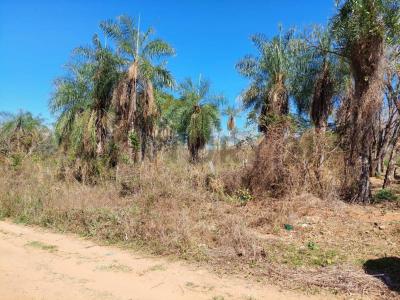 25 DE OCTUBRE- ROBORE , Este, Santa Cruz 00001, بوليفيا