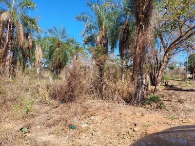 25 DE OCTUBRE- ROBORE , Este, Santa Cruz 00001, بوليفيا