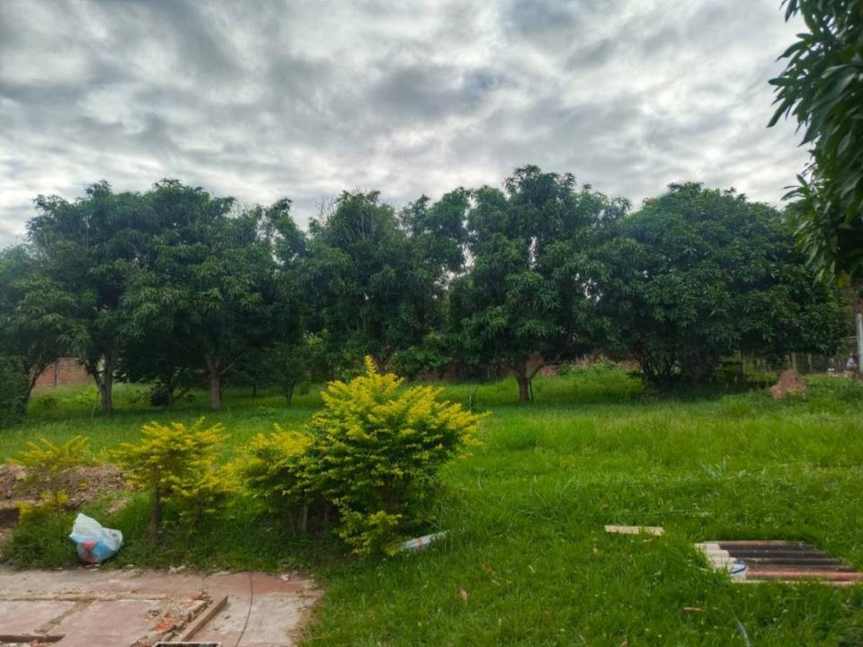 Urubo Puerto Ichilo S/N, Oeste, Santa Cruz 0000, בוליביה