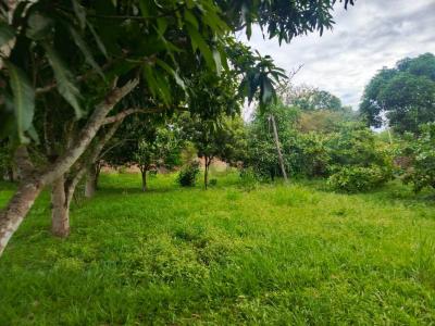 Urubo Puerto Ichilo S/N, Oeste, Santa Cruz 0000, בוליביה