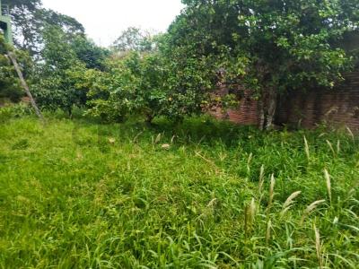 Urubo Puerto Ichilo S/N, Oeste, Santa Cruz 0000, בוליביה