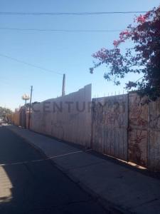 Tamarugal, Tarapacá 00001, Chile