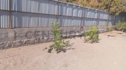 Tamarugal, Tarapacá 00001, Chile