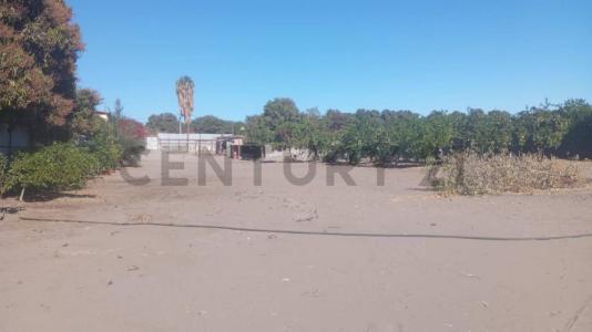 Tamarugal, Tarapacá 00001, Chile