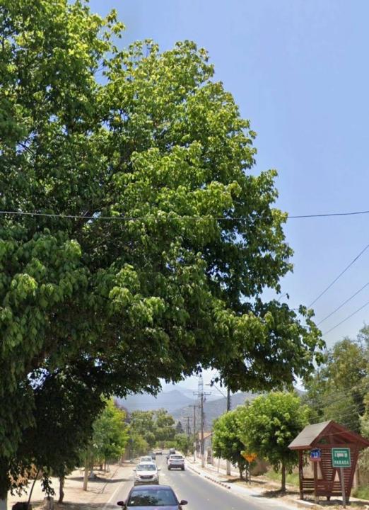 Marga Marga, Valparaíso 00001, Chi-Lê