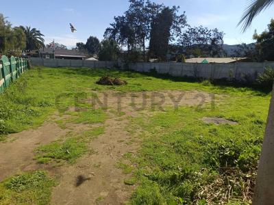 Marga Marga, Valparaíso 00001, Chi-Lê