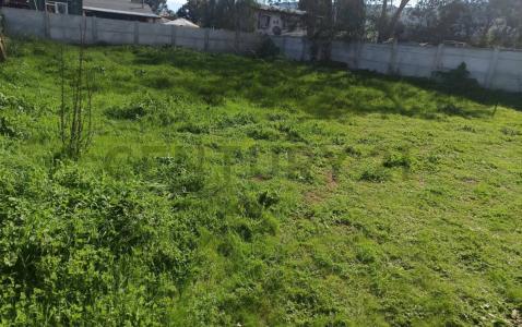 Marga Marga, Valparaíso 00001, Chi-Lê