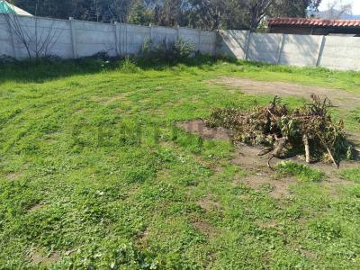 Marga Marga, Valparaíso 00001, Chi-Lê