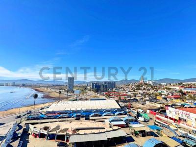 Elqui, Coquimbo 00001, Chi-Lê