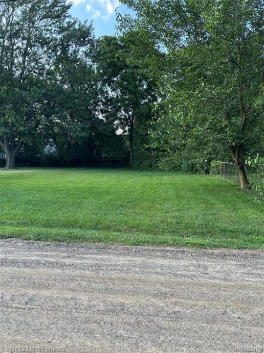 W Gracelawn Aveenue, Flint, ミシガン 48504, アメリカ合衆国