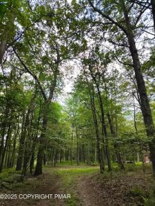 Mountain Terrace lot: 48, White Haven, Pennsylvania 18661