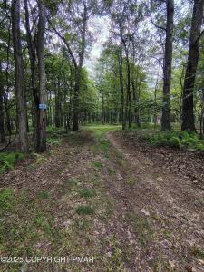 Mountain Terrace lot: 48, White Haven, Pennsylvania 18661