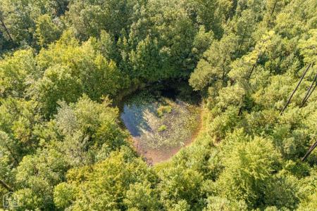 271 Greene 716 Road, Paragould, Arkansas 72450