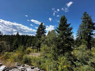 56 Bridle Court, Bigfork, Montana 59911, USA