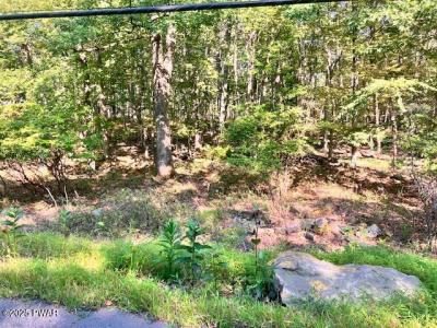 Aspen Drive, Milford, Pensilvania 18337, Estados Unidos