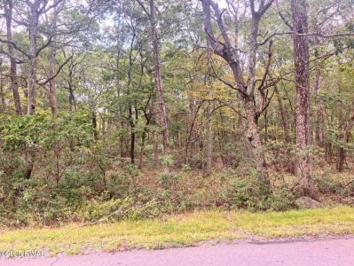 Philwood Lane, Milford, Pennsylvania 18337, Stati Uniti