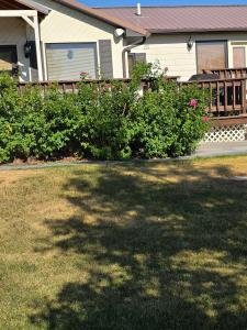 38 Sundust Lane, Twin Bridges, Montana 59754, USA