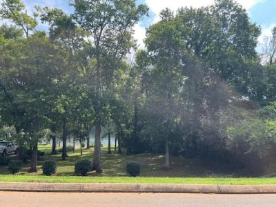 0 Edgewater Way Lot 173, Jasper, Tennessee 37347, Estados Unidos