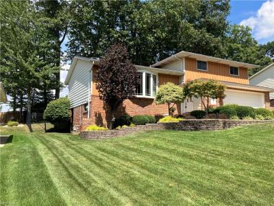 6116 Thoreau Dr., Parma, 俄亥俄州 44129, 美國