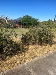 13489 E Highway 20 Highway, Clearlake Oaks, كاليفورنيا 95423, الولايات المتحدة