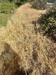 13489 E Highway 20 Highway, Clearlake Oaks, كاليفورنيا 95423, الولايات المتحدة