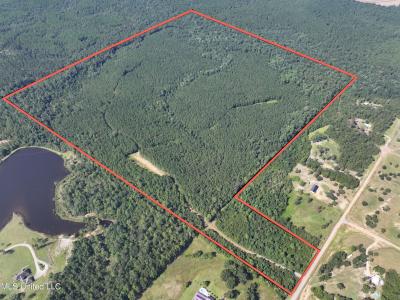 Buddy Finch Road, Lucedale, ميسيسيبي 39452, الولايات المتحدة