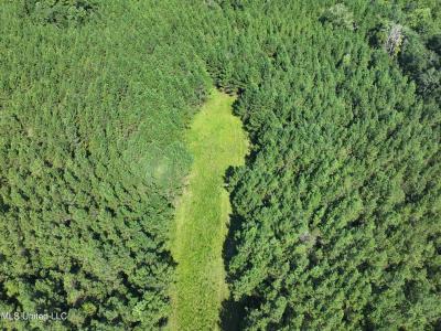 Buddy Finch Road, Lucedale, ミシシッピ 39452, アメリカ合衆国