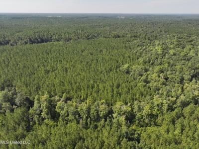 Buddy Finch Road, Lucedale, ミシシッピ 39452, アメリカ合衆国