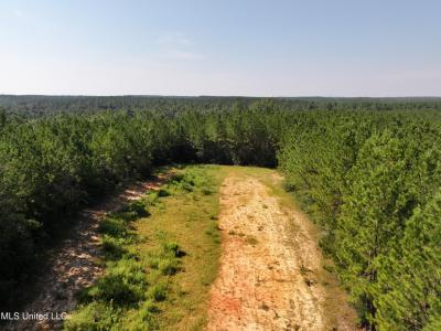 Buddy Finch Road, Lucedale, ミシシッピ 39452, アメリカ合衆国