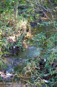 Buddy Finch Road, Lucedale, ミシシッピ 39452, アメリカ合衆国