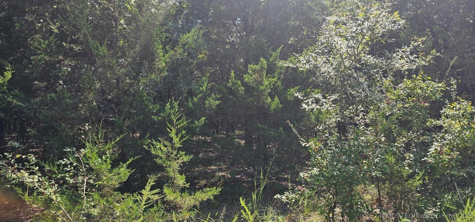 Bootleg, Gore, 俄克拉荷马州 74435, 美国