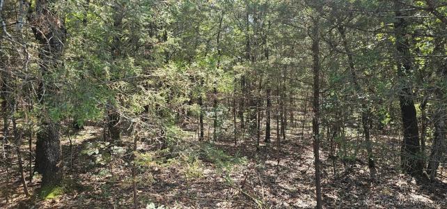 Bootleg, Gore, 俄克拉荷马州 74435, 美国