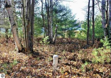 312 SE Blue Heron Drive, Kalkaska, Michigan 49646, Estados Unidos