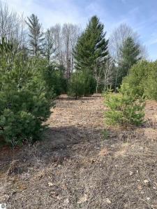 312 SE Blue Heron Drive, Kalkaska, Michigan 49646, Estados Unidos