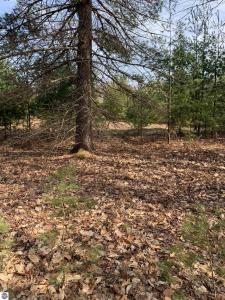 312 SE Blue Heron Drive, Kalkaska, Michigan 49646, Estados Unidos