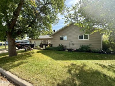 250 Second Street, Forman, North Dakota 58032, Stati Uniti