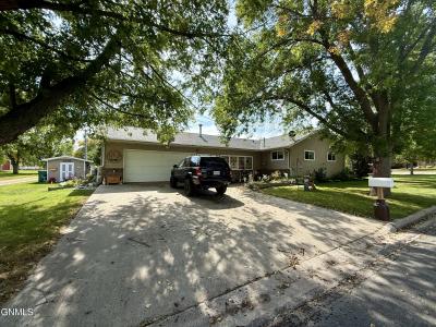 250 Second Street, Forman, North Dakota 58032, Stati Uniti