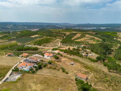 Alcobaça, לייריה 2460-848, פורטוגל