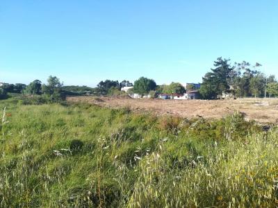 Sintra, Lisbon 2715, Portugal