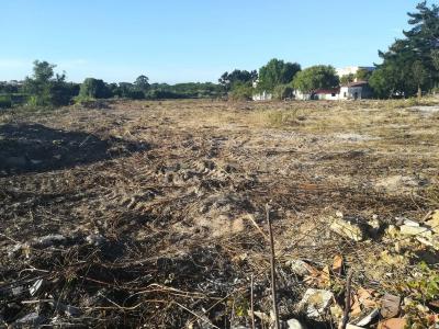 Sintra, Lisbon 2715, Portugal