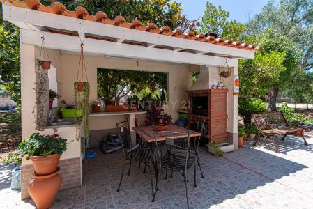 Palmela, セトゥーバル 2950-805, ポルトガル