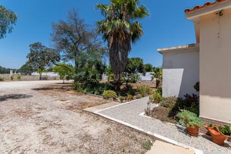 Palmela, セトゥーバル 2950-805, ポルトガル